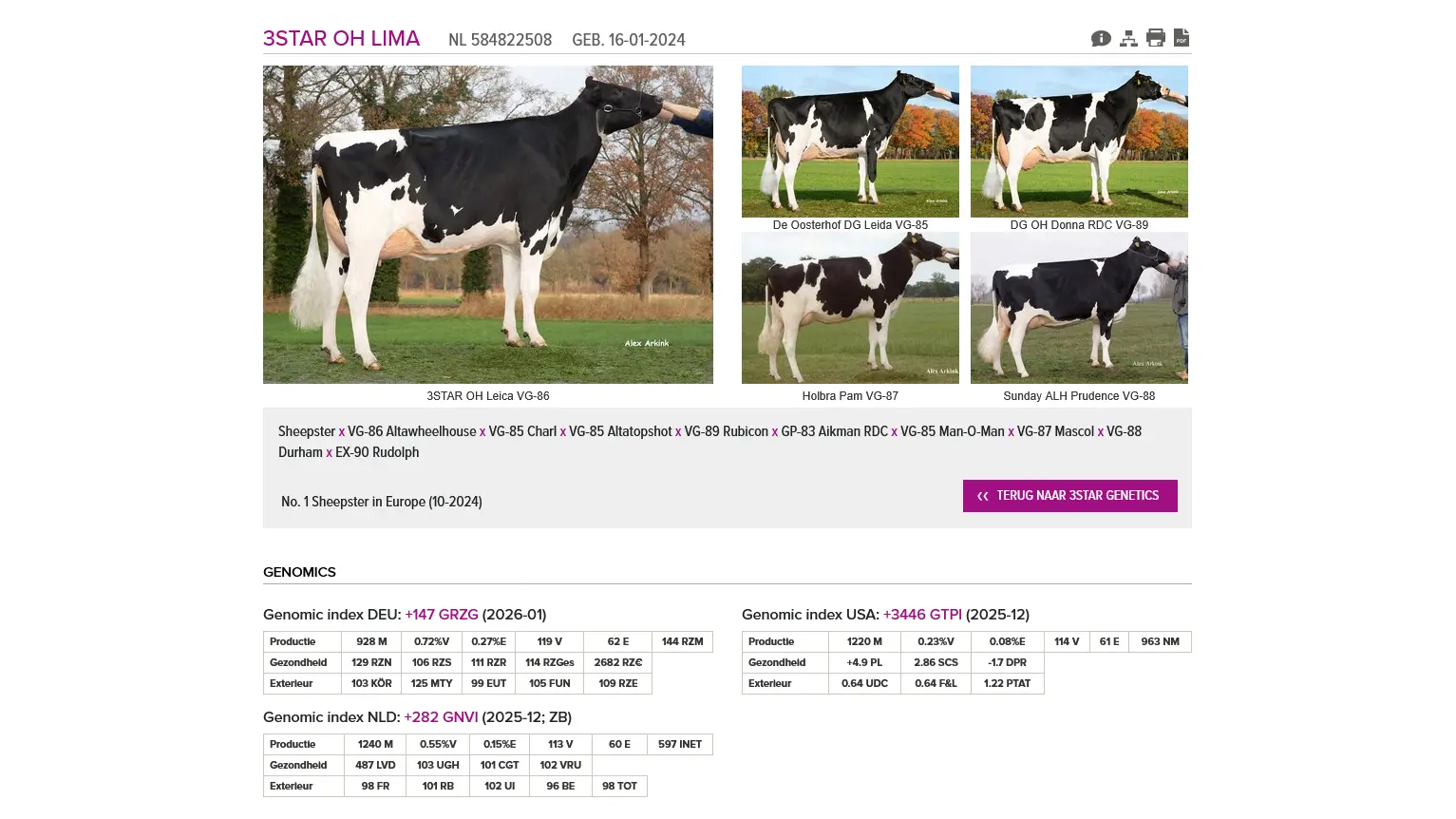 Slagkracht - Genhotel